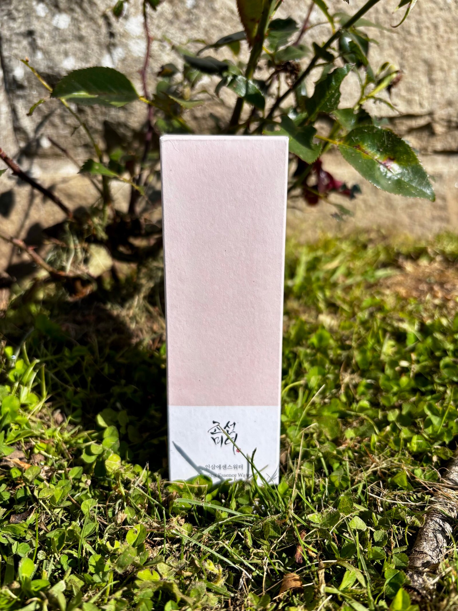 Essence de gingembre, routine skincare coréenne – Image 2