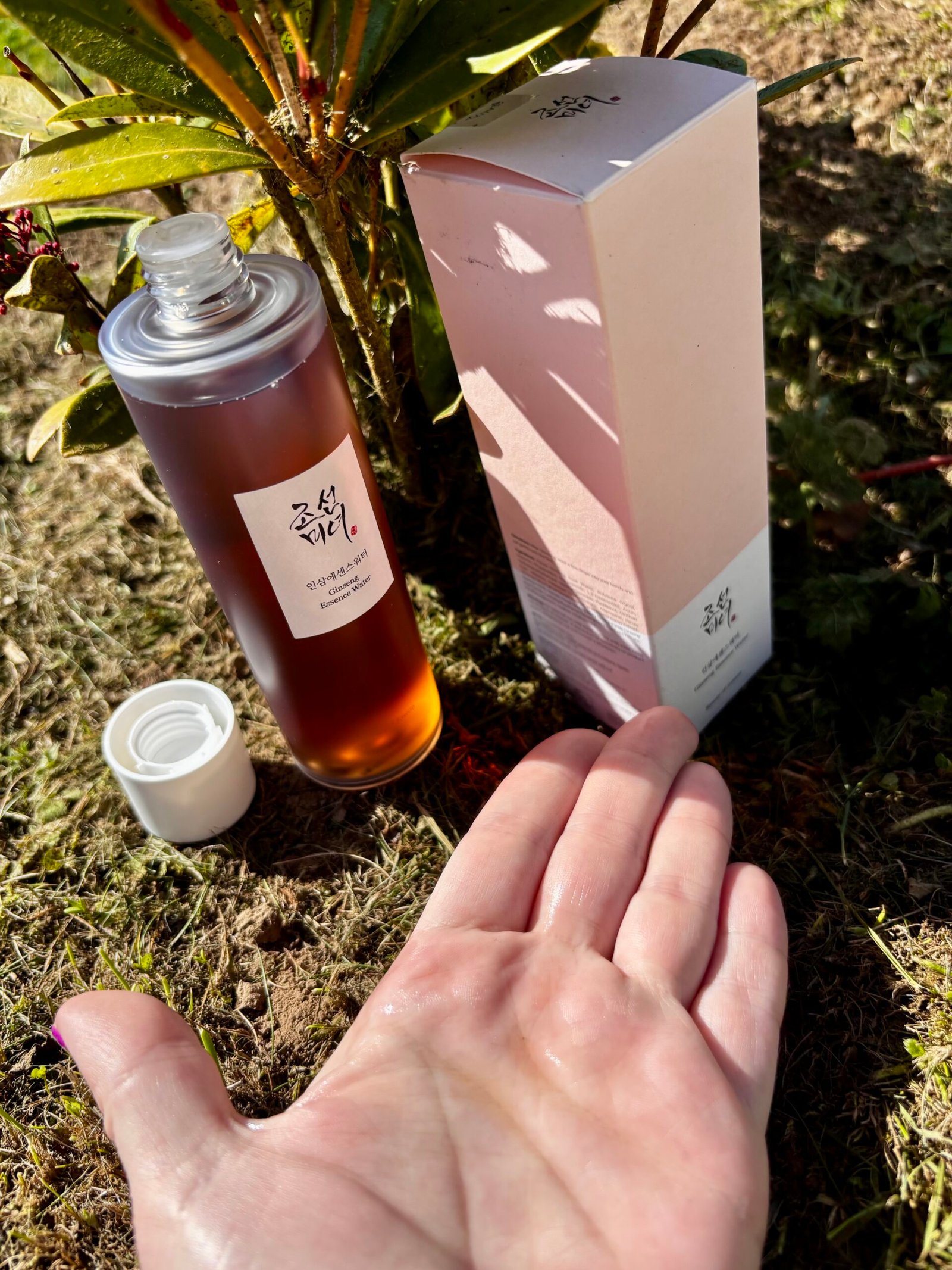 Essence de gingembre, routine skincare coréenne – Image 4